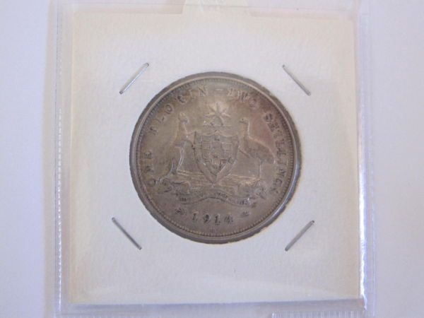 New-Arrivals-Now-With-Actual-Photos-:d-See-Bottom-Of-Page